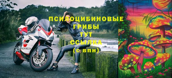 СК Новочеркасск