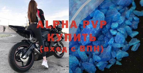 СК Новочеркасск
