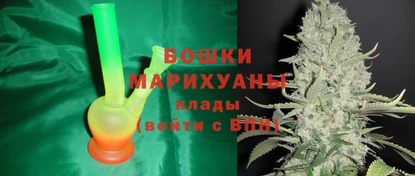 ГАЛЛЮЦИНОГЕННЫЕ ГРИБЫ Лиски