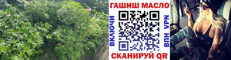ТГК THC oil  Щигры 