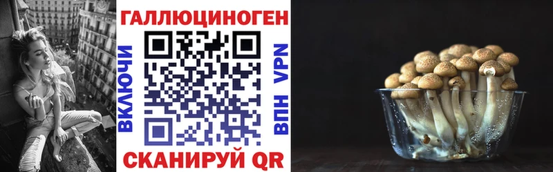 где можно купить Щигры Псилоцибиновые грибы Cubensis